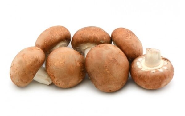 Champignon brun 150g FR