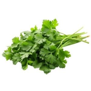 Coriande frais 1 botte