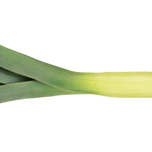 Poireaux 1 pièce FR
