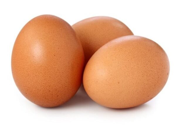 Oeuf